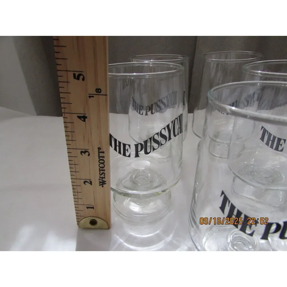 Vintage barware cocktail glasses set of 5 The Pussycat mid-century modern cat